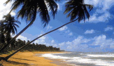 paysage025