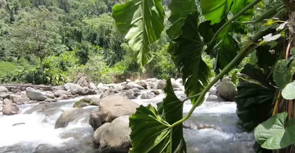 riviere E