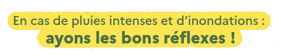 banbonreflexe